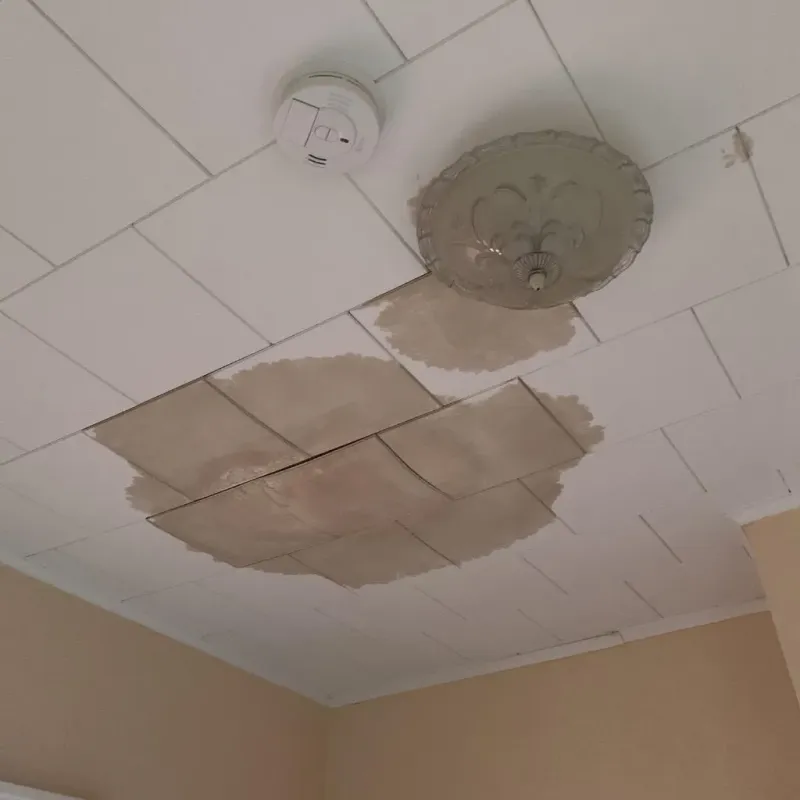 Ceiling Water Damage Repair in Fall Creek, WI