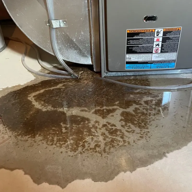 Pipe Burst and Leak Restoration in Fall Creek, WI
