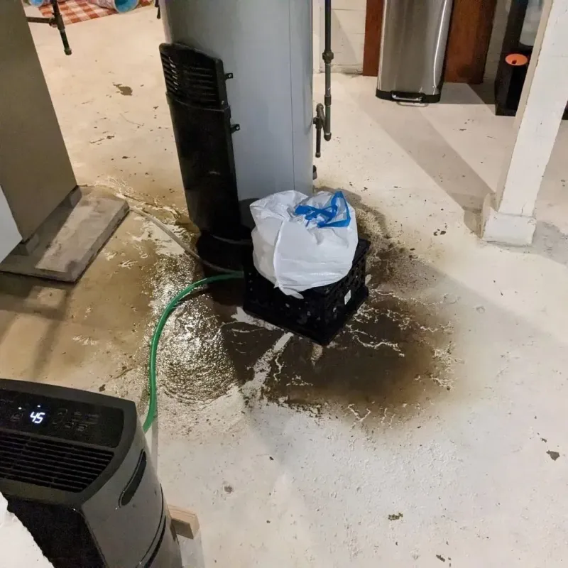Sewage Backup Cleanup Service in Fall Creek, WI